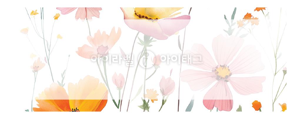 모달 섬네일 디자인 이미지