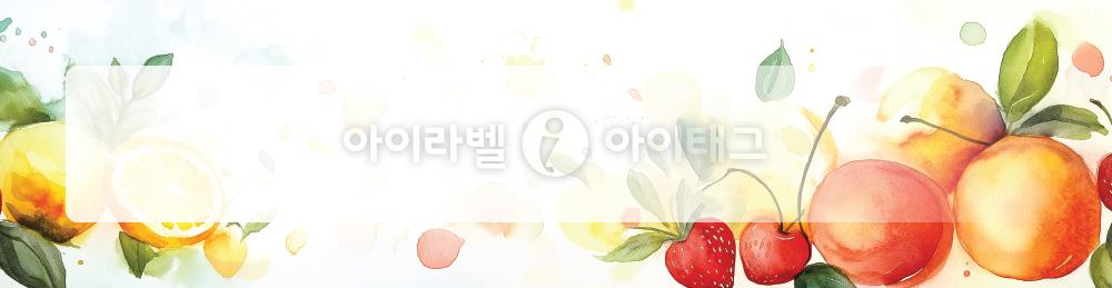 모달 디자인 이미지