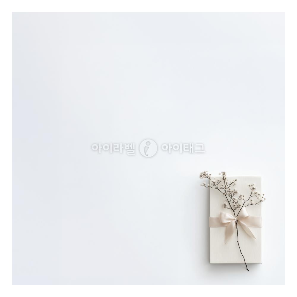 모달 디자인 이미지