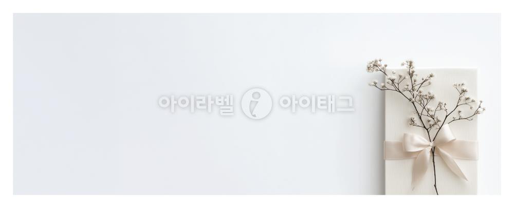 모달 디자인 이미지