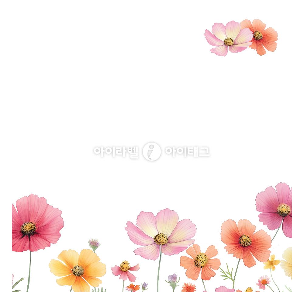 모달 디자인 이미지