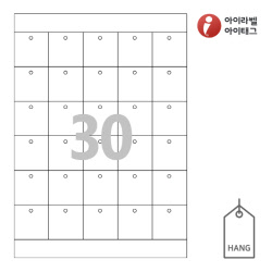 아이태그 TLH0301WKR 행태그