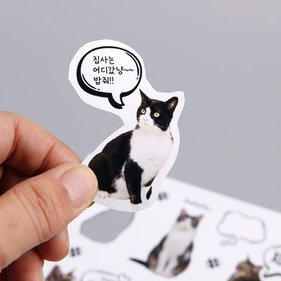 사용사례 이미지