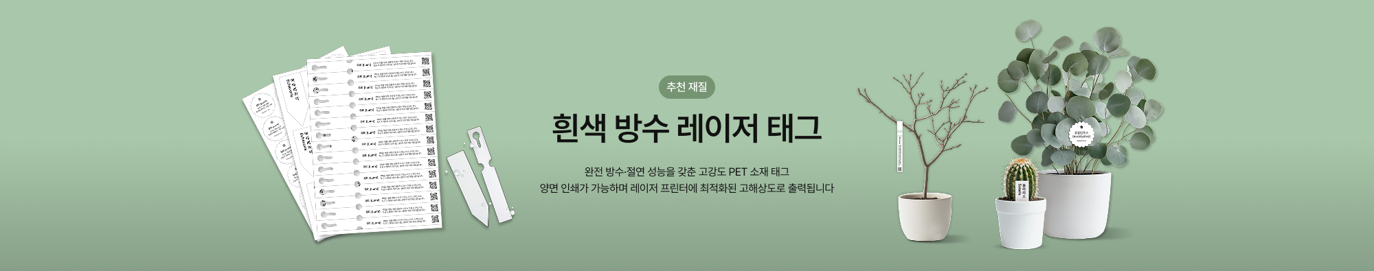 시즌재질 아이태그 WP 배너