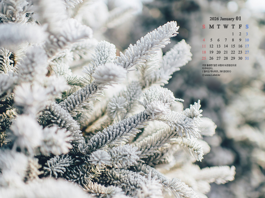 이달의 바탕화면1-1024