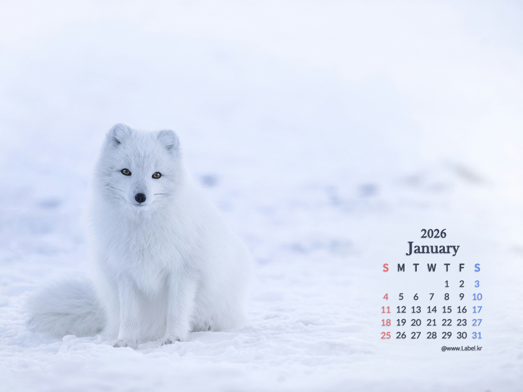 이달의 바탕화면2-1024