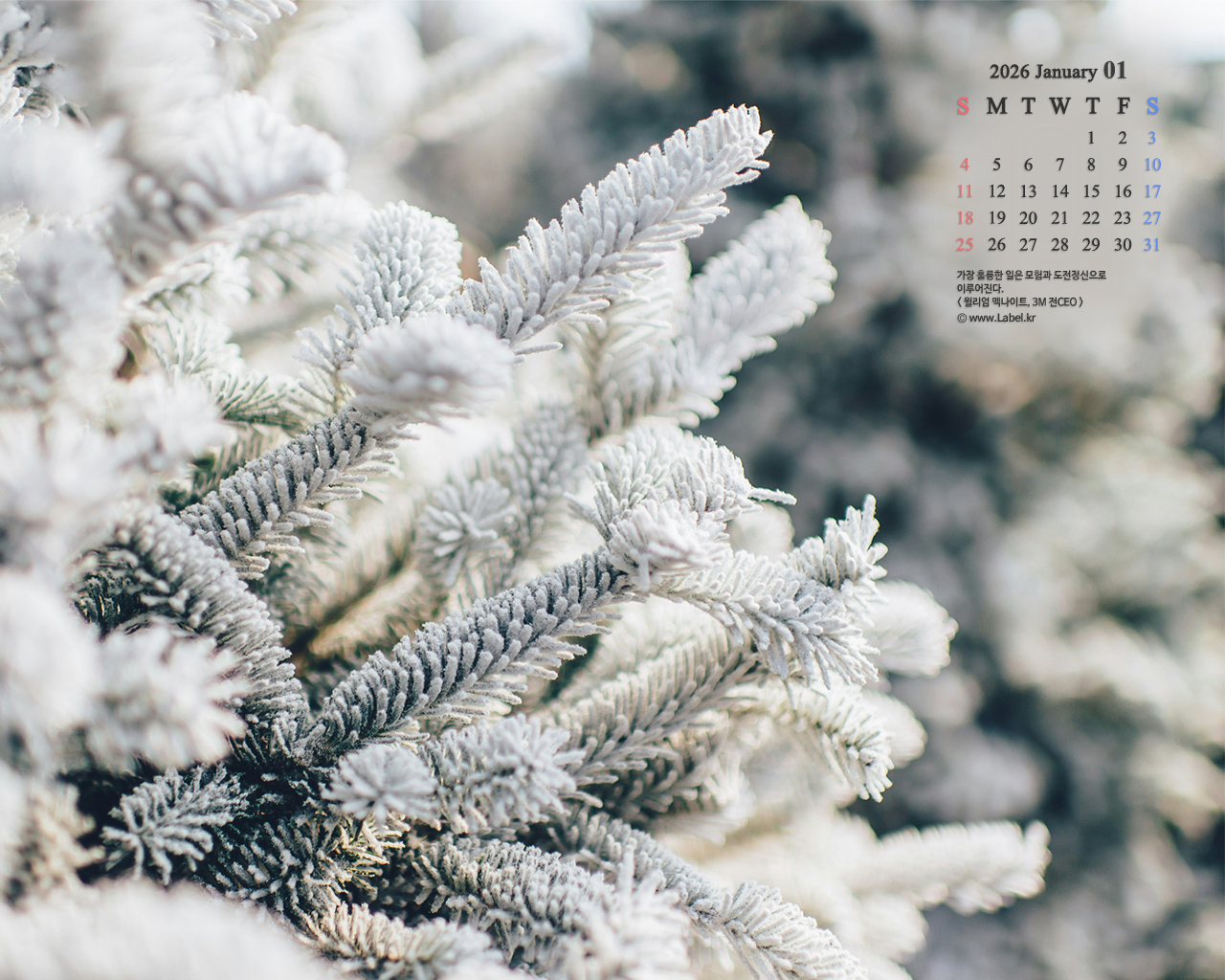 이달의 바탕화면1-1080