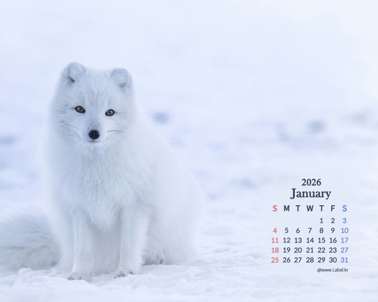 이달의 바탕화면2-1080