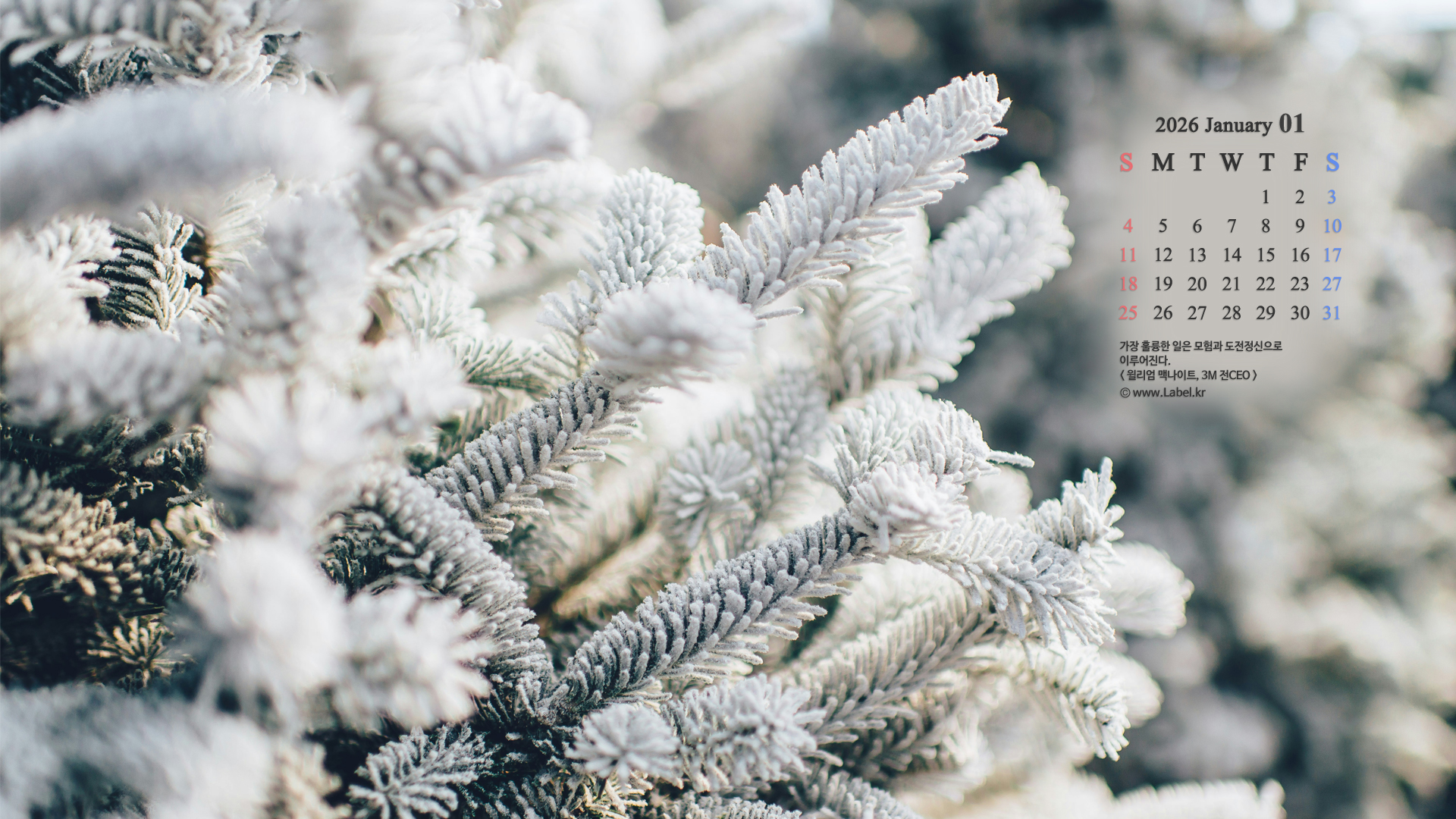 이달의 바탕화면1-1920