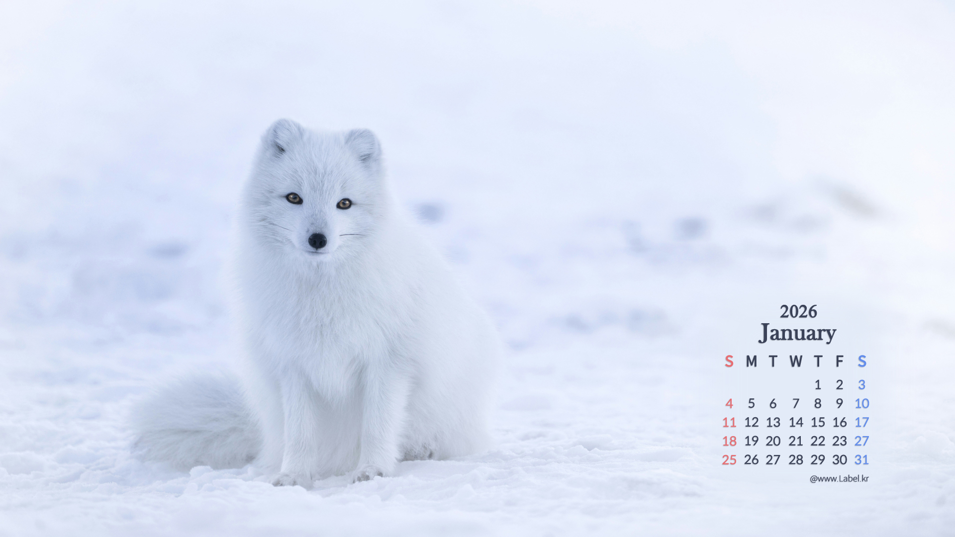 이달의 바탕화면2-1920