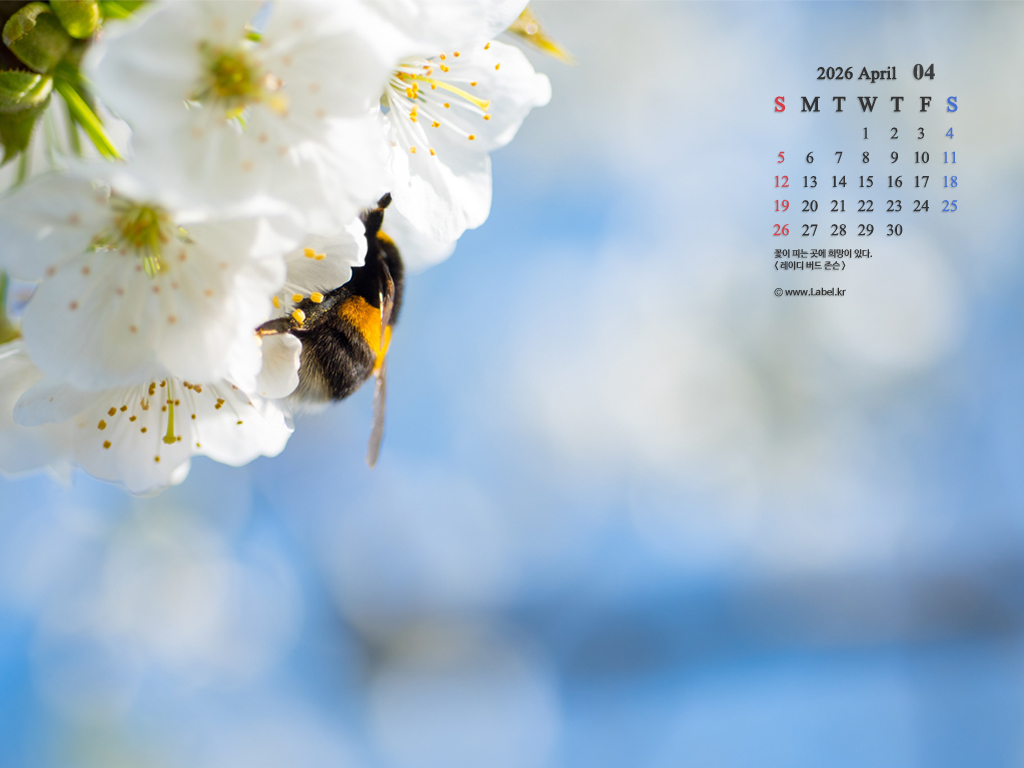 이달의 바탕화면1-1024