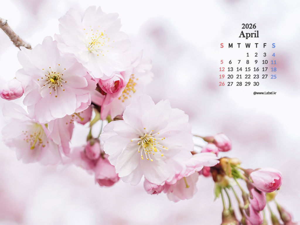 이달의 바탕화면2-1024