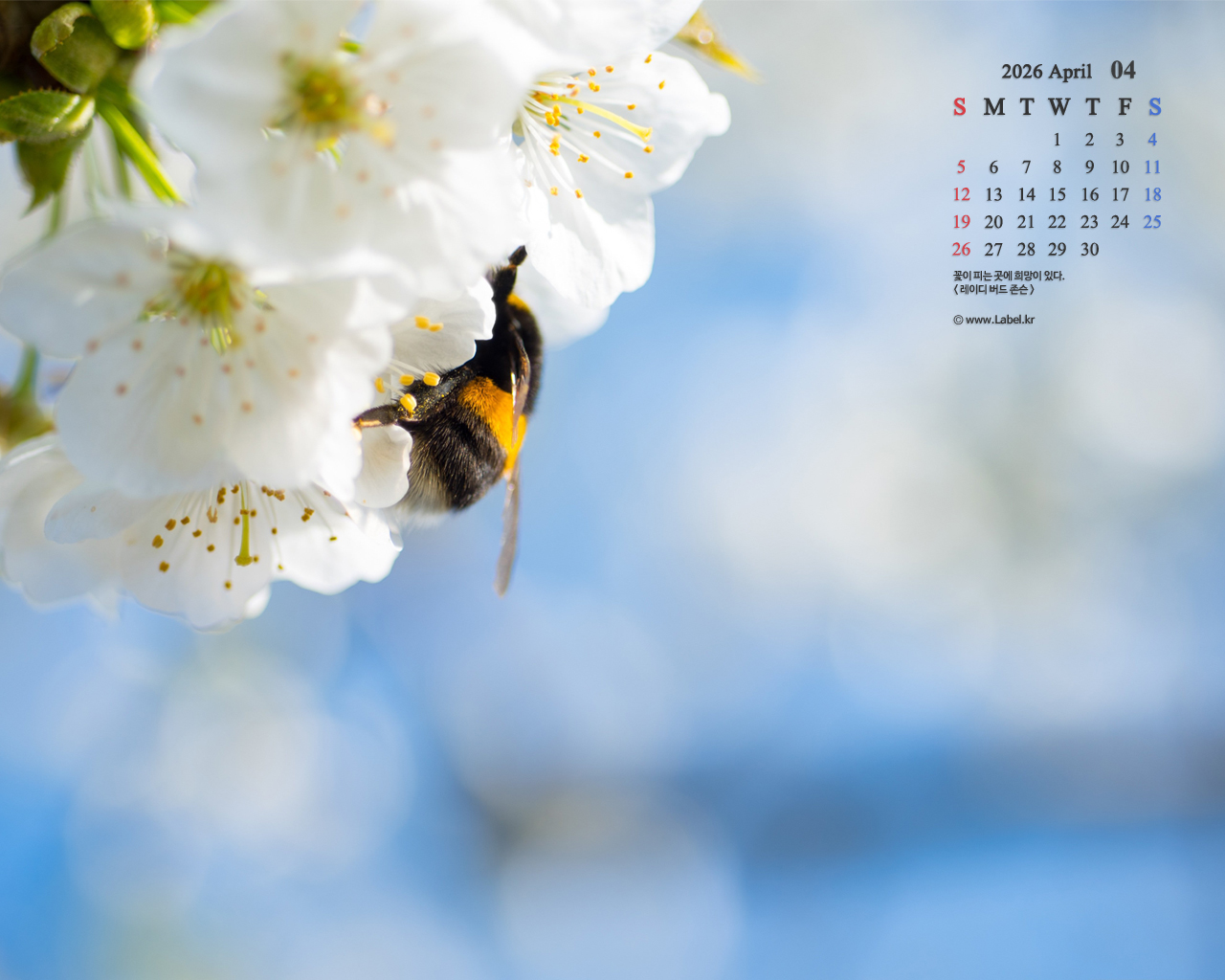 이달의 바탕화면1-1080