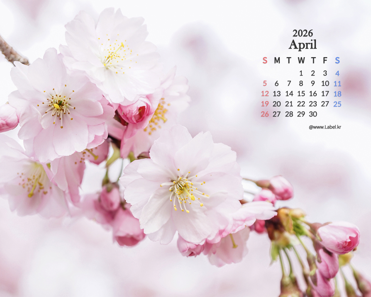 이달의 바탕화면2-1080