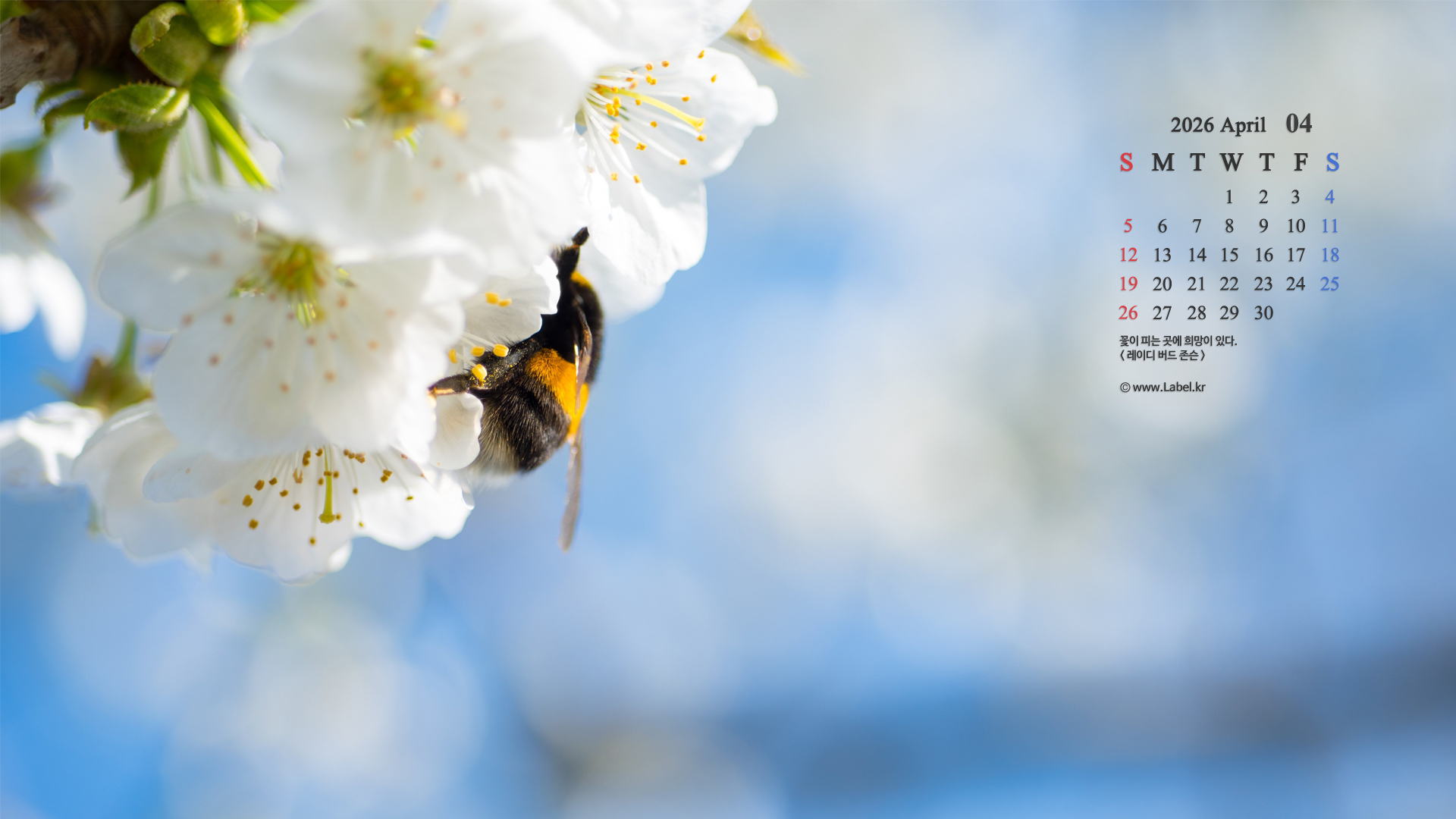 이달의 바탕화면1-1920