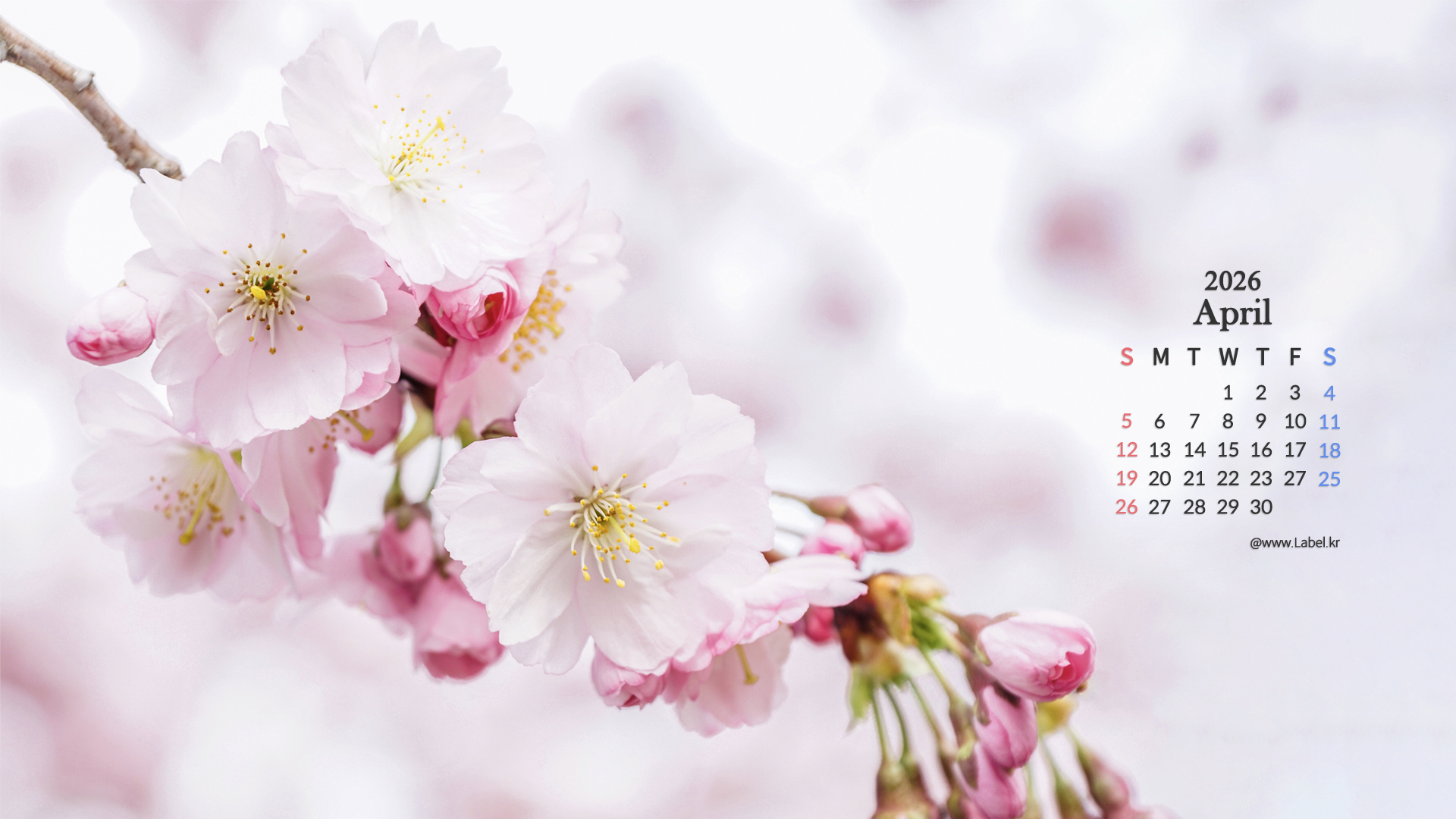 이달의 바탕화면2-1920